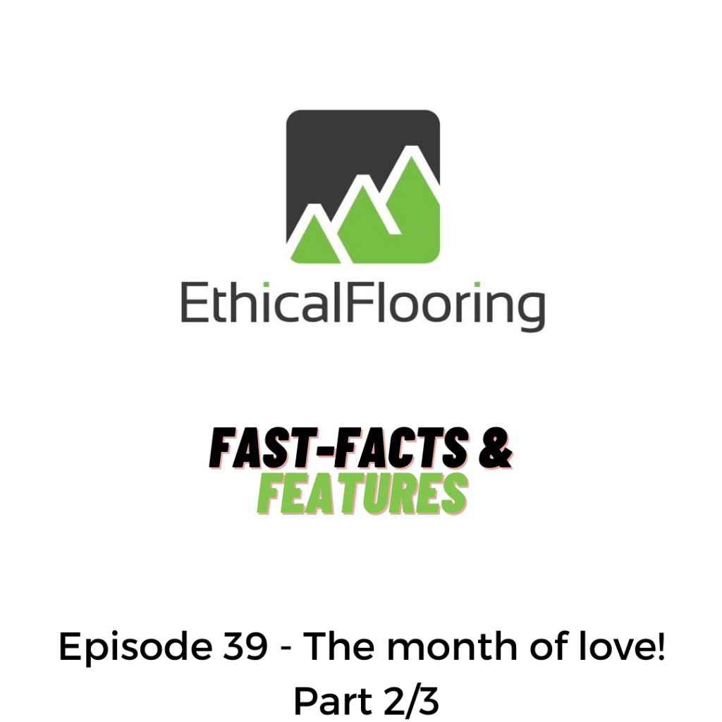 Ethical Flooring